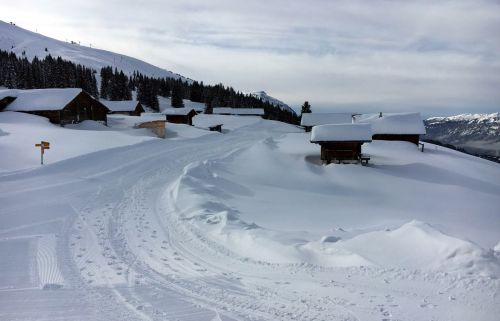 18. Januar 2016
