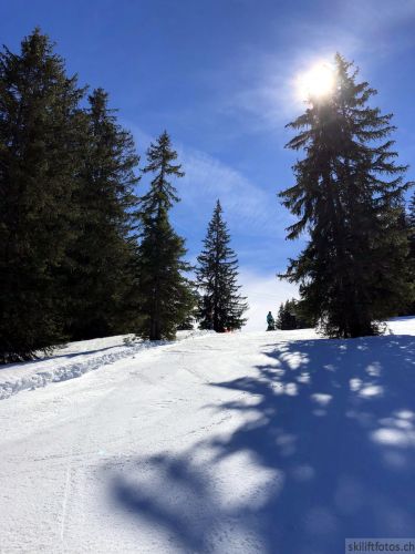 16. März 2019
