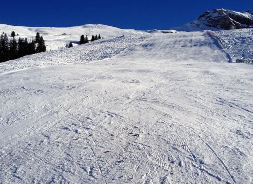 Auf den nicht beschneiten Strecken gucken ab und zu Krümel hervor
