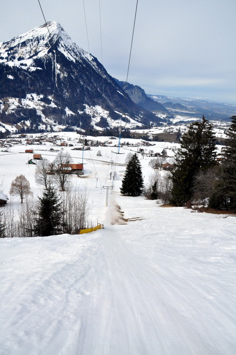 25. Februar 2010

