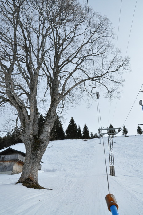 25. Februar 2010
