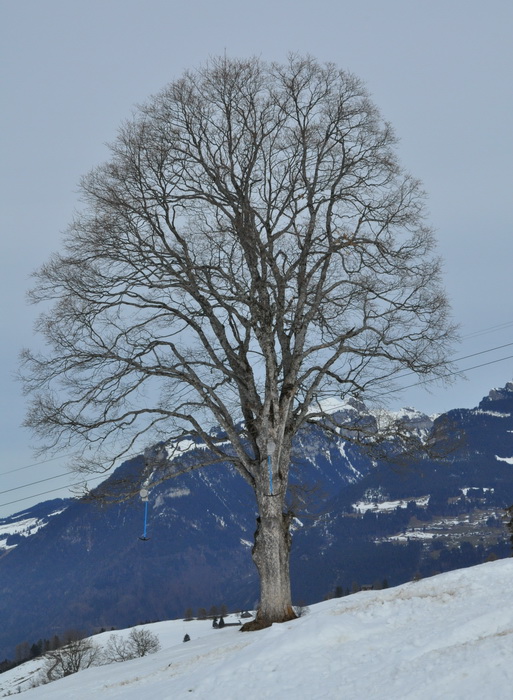 25. Februar 2010

