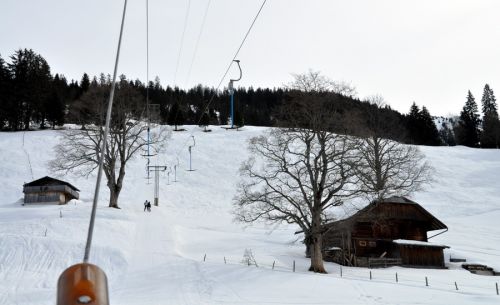 25. Februar 2010
