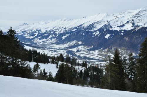 Blick nach Frutigen
