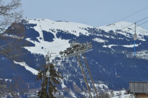 25. Februar 2010

