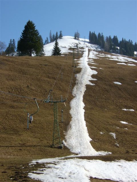 Frühling 2005 (Jakob Schuler)
