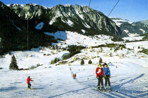 Skilift Grimmialp-Stierengrimmi (Oehler), Detail aus obigem Prospekt
