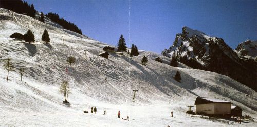 Skilift Grimmialp-Stierengrimmi (Oehler), Detail aus obigem Prospekt
