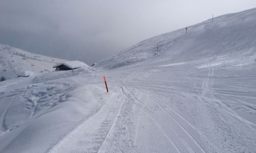 25. Februar 2013
