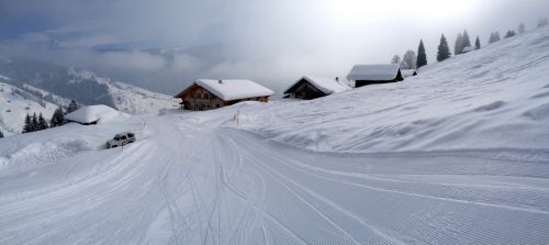 25. Februar 2013
