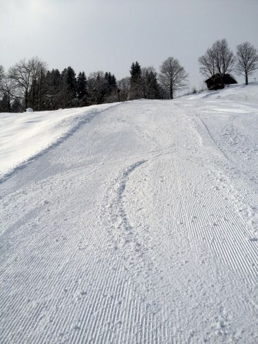 25. Februar 2013
