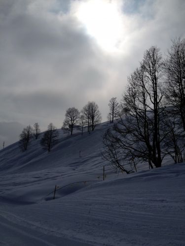 25. Februar 2013
