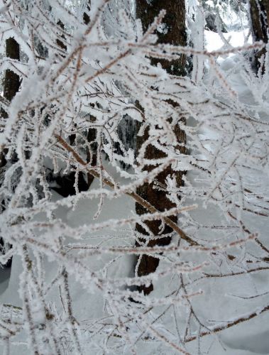 25. Februar 2013
