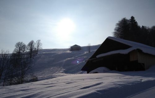 25. Februar 2013
