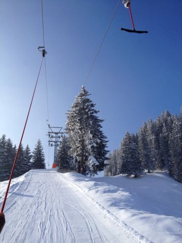 25. Februar 2013
