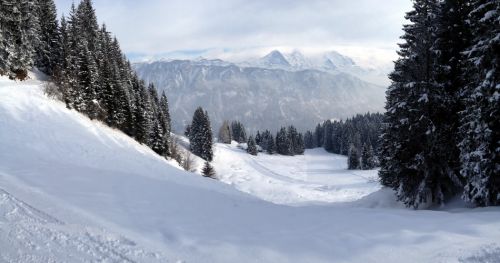 25. Februar 2013 - Blog-Reportage mit Video von diesem Tag [url=https://blog.jacomet.ch/vintage-skifahren-teil-21-habkern/]hier[/url]

