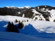 Dateiname=20220209-habkern-034.jpg
Dateigröße=338KB
Abmessungen: 1600x1194
hinzugefügt am: 11. Februar 2022 20220209-habkern-034.jpg