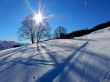 Dateiname=20220209-habkern-098.jpg
Dateigröße=450KB
Abmessungen: 1600x1200
hinzugefügt am: 11. Februar 2022 20220209-habkern-098.jpg