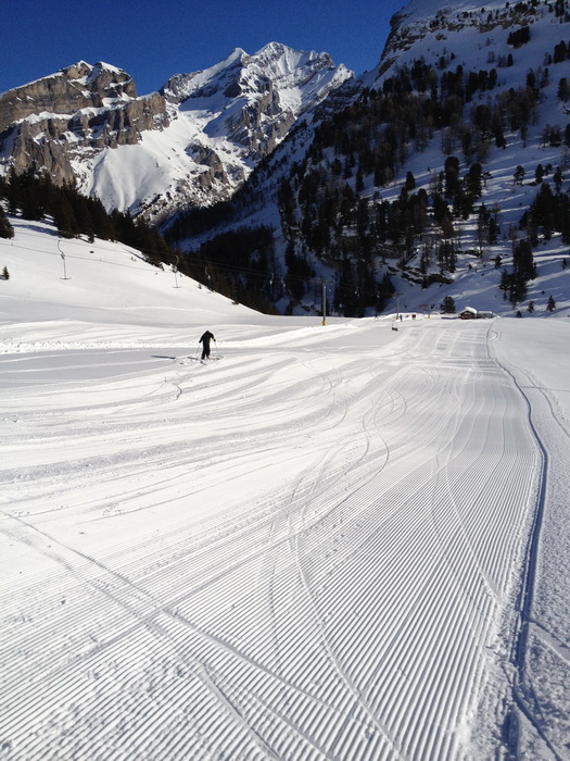 Sunnbüel, 14. Januar 2012
