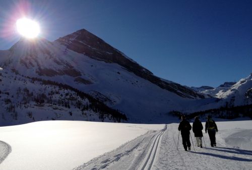 Sunnbüel, 14. Januar 2012
