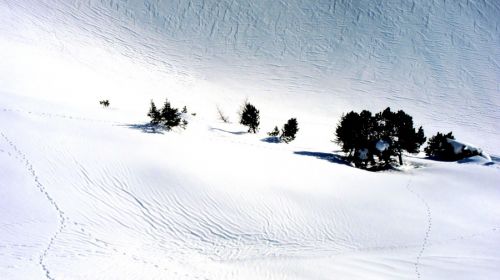 Winterwanderweg Sunnbüel-Schwarenbach, 14. Januar 2012
