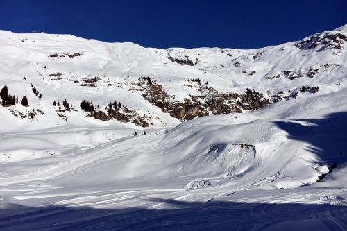 25. Januar 2016
