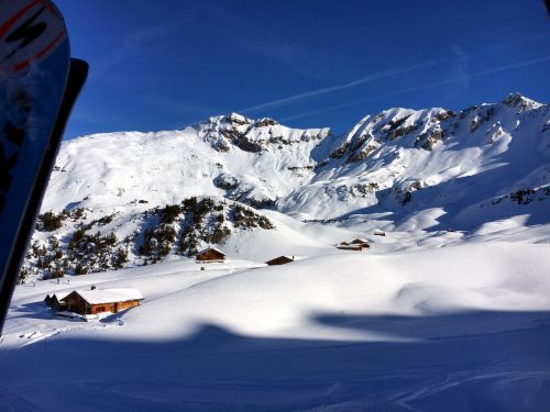 25. Januar 2016
