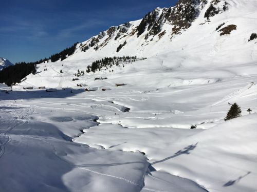 25. Januar 2016
