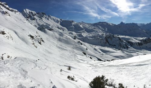 25. Januar 2016
