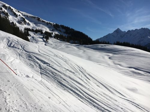 25. Januar 2016
