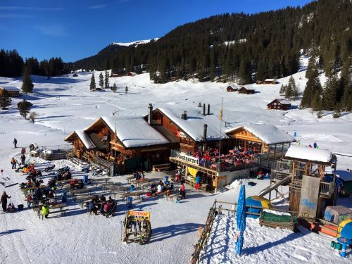 25. Januar 2016
