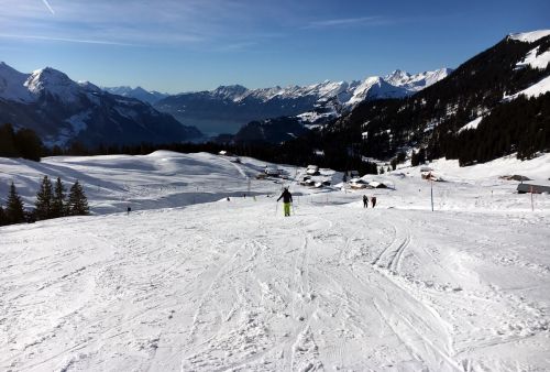 25. Januar 2016
