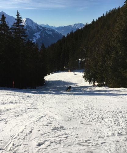 25. Januar 2016

