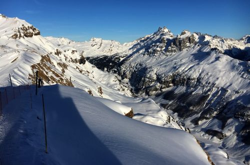 25. Januar 2016
