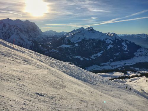 25. Januar 2016
