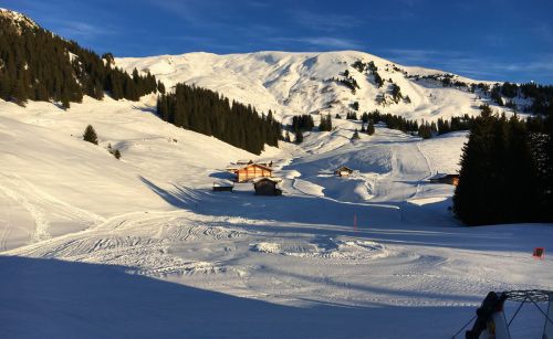 25. Januar 2016
