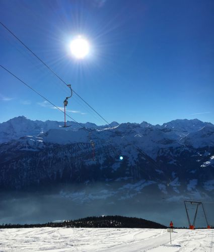 22. Januar 2016 - mehr Bilder des heutigen Skitages [url=http://www.jacomet.ch/themen/skilift/album/thumbnails.php?album=359]hier[/url] 

