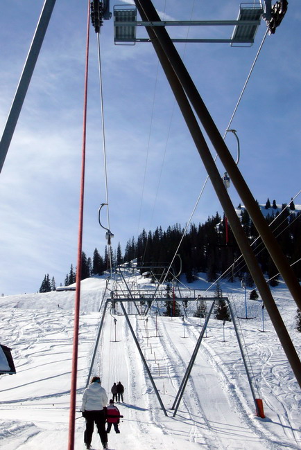 17. März 2009
