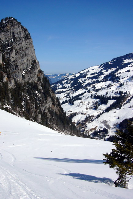 17. März 2009
