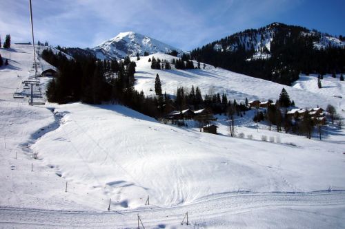 17. März 2009
