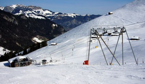 17. März 2009
