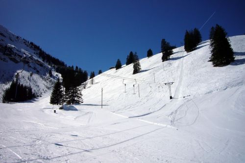 17. März 2009
