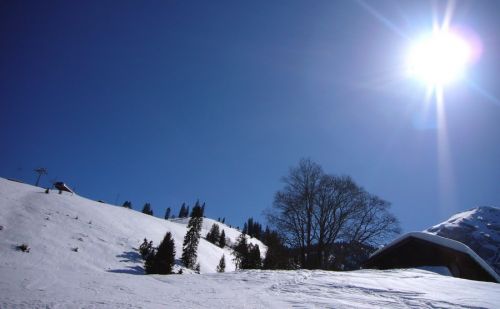 17. März 2009
