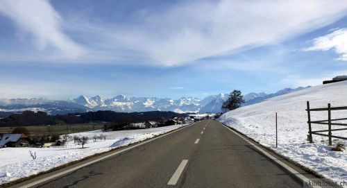 20190212-blumenstein-003.jpg