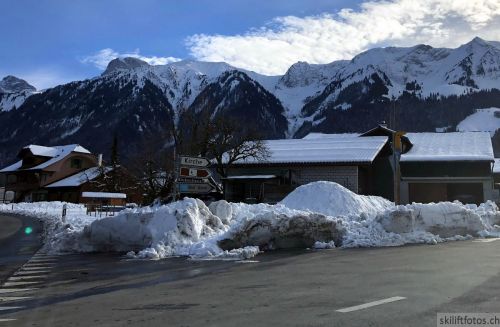 20190212-blumenstein-010.jpg