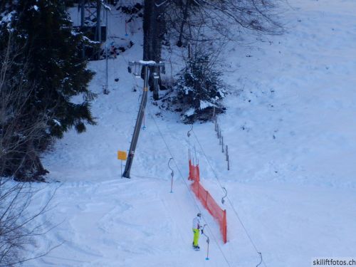 20190212-blumenstein-018.jpg