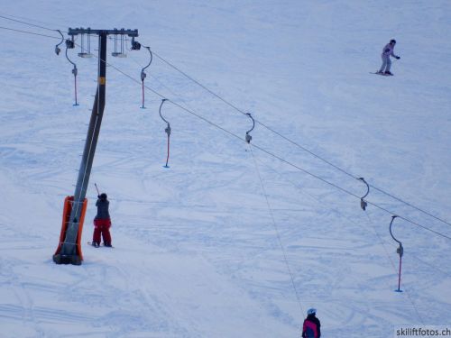 20190212-blumenstein-019.jpg