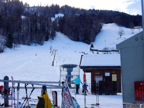 20190212-blumenstein-021.jpg