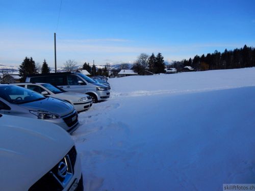 20190212-blumenstein-022.jpg