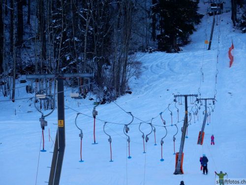20190212-blumenstein-031.jpg